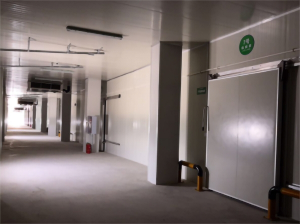 建一個(gè)5000立方香蕉冷藏冷庫(kù)大概要多少錢(qián)？