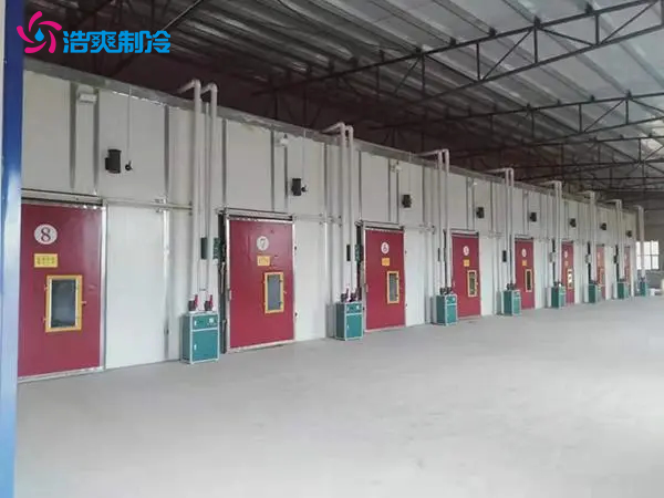 建造300立方米水果氣調(diào)保鮮冷庫(kù)大概多少錢(qián)？