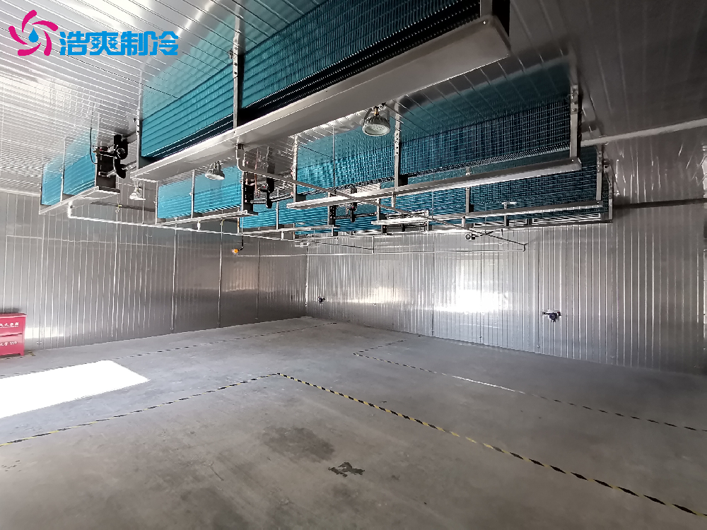 防爆冷庫(kù)安裝 電子化工 工廠車(chē)間原材料存儲(chǔ)冷庫(kù)設(shè)計(jì)建造