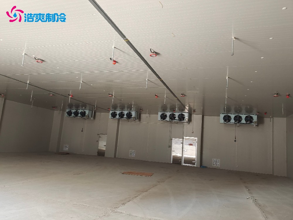 防爆冷庫(kù)工程安裝建造設(shè)計(jì)方案