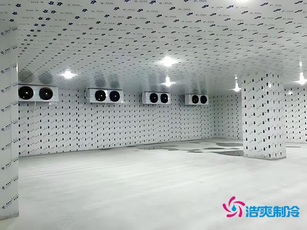 100平方冷凍庫設(shè)計(jì)安裝造價(jià)多少錢？