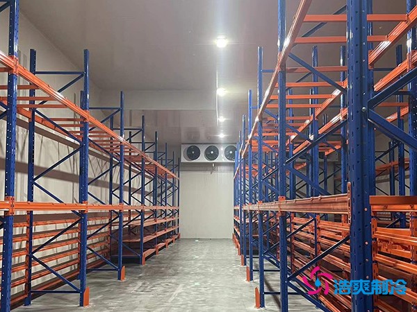 建中型冷庫要花多少錢？這些關(guān)鍵因素你必須知道-浩爽制冷