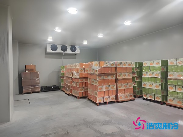 1000噸果蔬保鮮庫(kù)造價(jià)揭秘，節(jié)省成本就靠這幾點(diǎn)！