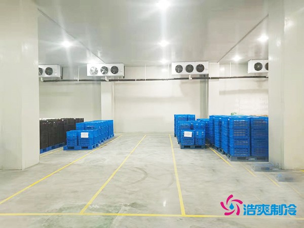 建造一個(gè)2000噸海鮮冷庫的預(yù)算分析