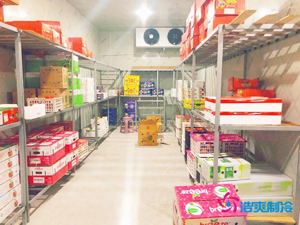 5噸水果需要多大冷庫(kù)？答案出乎意料！