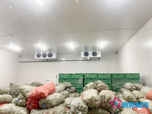 5噸水果需要多大冷庫(kù)？答案出乎意料！