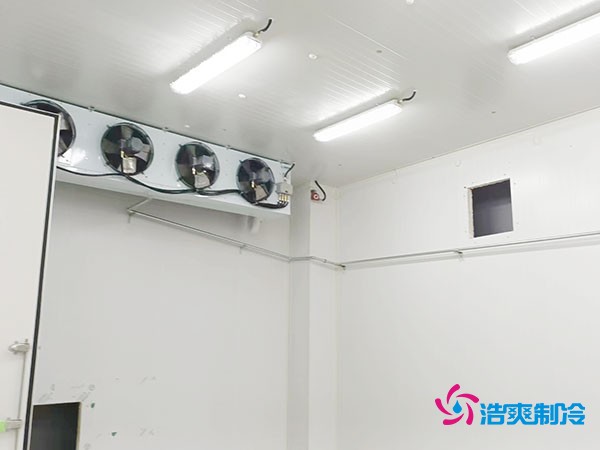 上海小型冷庫(kù)造價(jià)揭秘！2萬(wàn)起真的靠譜嗎？