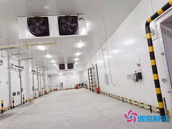 建設(shè)冷凍庫(kù)每平米造價(jià)多少錢(qián)？冷凍庫(kù)造價(jià)關(guān)鍵因素解析