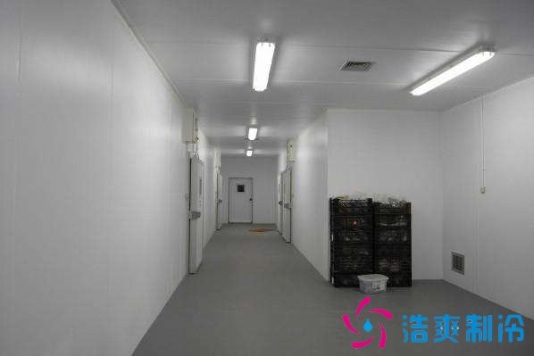 預(yù)建1000噸果蔬冷庫設(shè)計規(guī)劃，冷庫價格多少錢