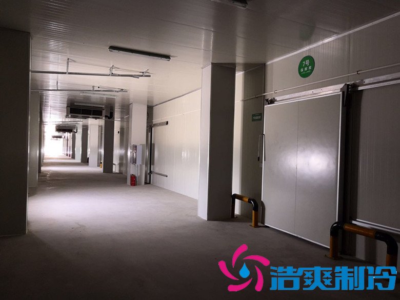 浙江佳時食品3000㎡牛肉、豆制品加工低溫冷藏冷凍庫完工圖片