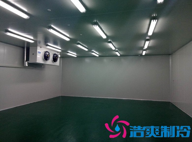 藥品冷凍庫(kù)建設(shè)標(biāo)準(zhǔn)規(guī)范及建造預(yù)算包含哪些