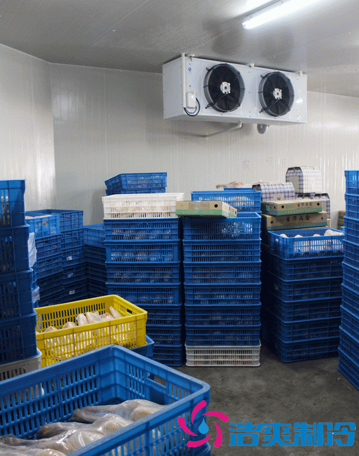 上海雞肉冷庫、雞排冷凍庫