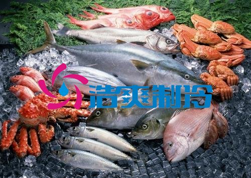 浩爽制冷，海鮮冷凍庫、食品冷凍庫