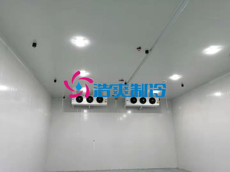 浩爽制冷，巧克力冷藏庫